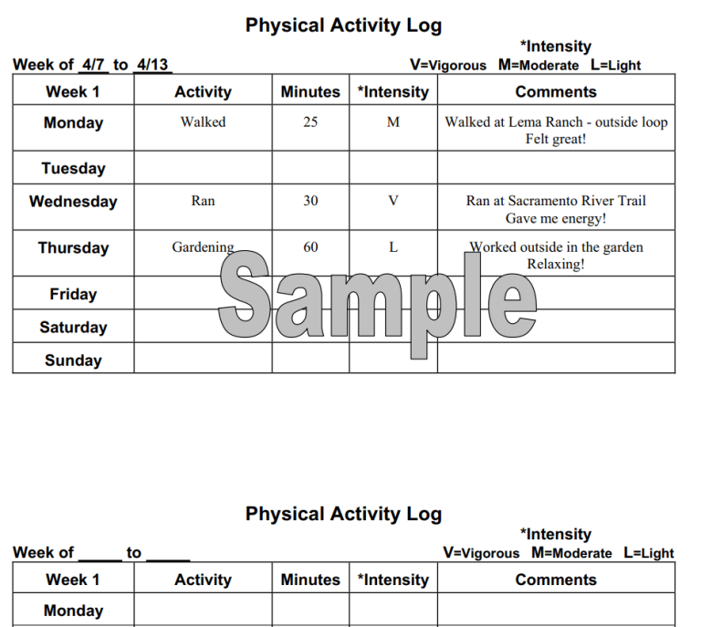 7+ FREE Printable Weekly Activity Log Templates