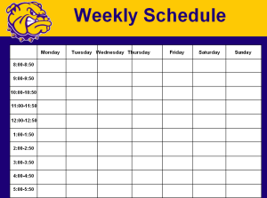 17+ Printable Weekly Schedule Templates [in WORD & EXCEL]